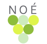 Bar Noé Pamplona